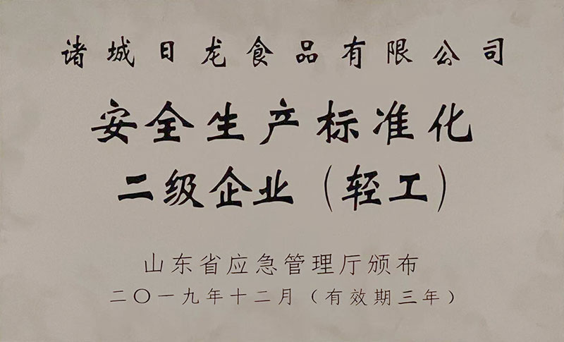 安全生產標準化二級企業（輕工）
